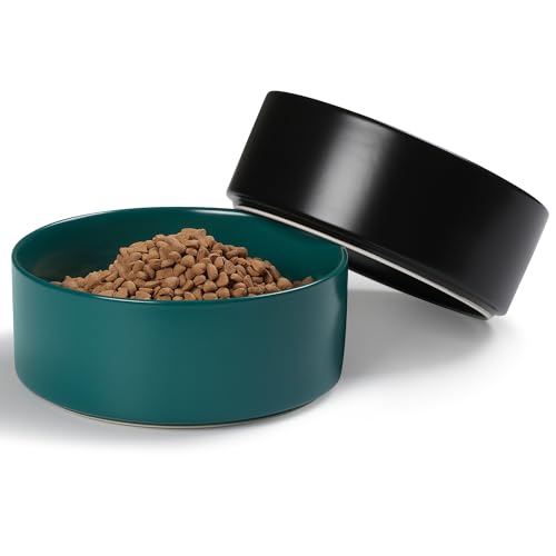 Kitwinney Große Hundenäpfe, rutschfest, schwere Keramik, Futter- und Wassernapf mit weißer Silikonbasis, 2 Stück, Futternäpfe für mittelgroße und große Hunde (schwarz + grün, 20,3 cm) von Kitwinney