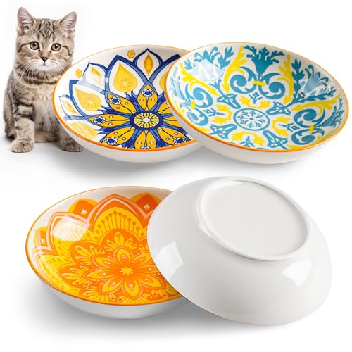Kitwinney Katzennäpfe Keramik Katzenfutter Schüssel Set mit Silikonring, rutschfeste Katzen Geschirr oder niedliche Teller zum Füttern von Indoor-Katzen, Kätzchen, kleinen Hunden (Bohemian-4 Pack, 5,5 von Kitwinney