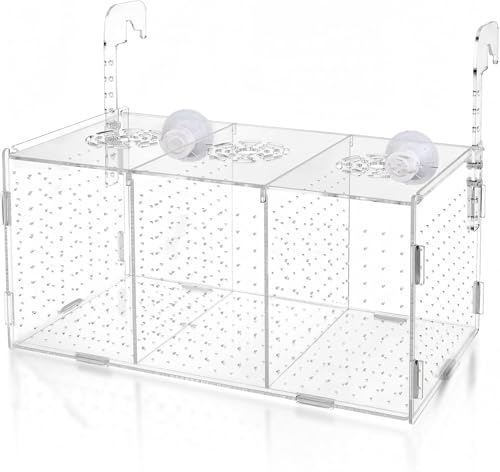 Acryl Aquarienfisch-Zuchtbox,Fischzucht Kasten Mit Saugnäpfen,Transparente Fische Sämlinge Inkubator Brutkasten,Aufzuchtbecken Aquarium Babyfische,Isolationsbox Aquarium,Mit 1Aquarium Fischnetz,Kiuiom von Kiuiom
