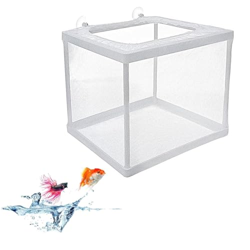 Aquarium Fische Brutkasten,Zuchttanks Mit Saugnapf,Ultrafeines Aufzuchtbecken,Aquarium Züchter Trennnetz,Aquarium Netz Breeding Box,Ablaichkasten Isolation Netz,Für Fische Garnelen Brutkasten,Kiuiom von Kiuiom