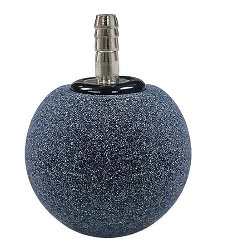 Kiuiom 5 Stück Aquarium Ball Bubble Diffuser,4CM Aquarium Luftstein,Sprudelstein Für Teiche,Blasendiffusor Tool,Für Luftpumpen,Eimer,Teiche Und Reservoirs Kiuiom 5 Stück Aquarium Ball Bubble Diffuser,4CM Aquarium Luftstein,Sprudelstein Für Teiche,Blasendiffusor Tool,Für Luftpumpen,Eimer,Teiche Und Reservoirs von Kiuiom