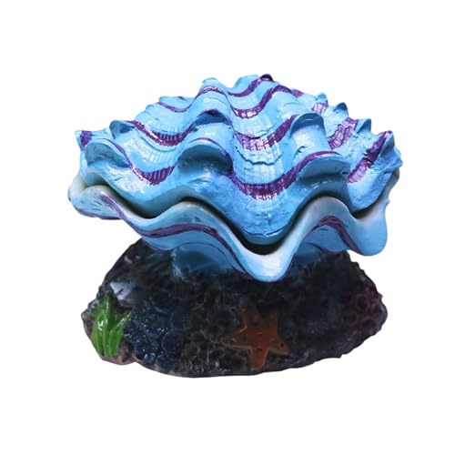 Kixolazr Aquarium Cave - Muschel Aquarium Lebensraum Deko - Versteck Dekoration Für Schule Zuhause Restaurant - Eckbecken Zuhause Schlafzimmer Terrarium von Kixolazr