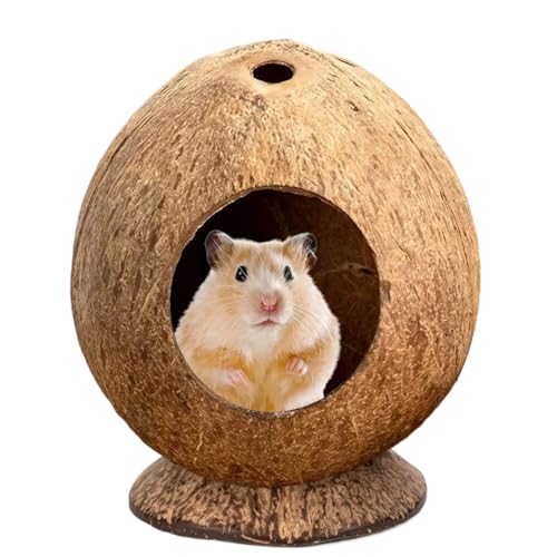 Kixolazr Hamsterhäuser,13,5 x 12 cm Nagetierkäfig | Nagelsicherer Unterschlupf mit kippfester Basis Käfigbereicherung für Kaninchen Chinchilla und Wüstenrennmäuser von Kixolazr