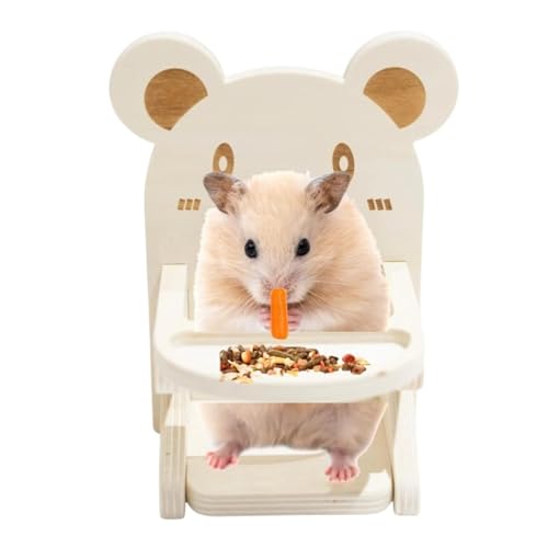 Kixolazr Hamstersitz, Stuhl für Tiere | Kleines Hamster-Tierkäfig-Zubehör - Mit Tablett, handgefertigter Käfig, Foto-Requisiten, Stuhl, Lebensraum-Dekoration für Igelkäfig-Zubehör Kixolazr Hamstersitz, Stuhl für Tiere | Kleines Hamster-Tierkäfig-Zubehör - Mit Tablett, handgefertigter Käfig, Foto-Requisiten, Stuhl, Lebensraum-Dekoration für Igelkäfig-Zubehör von Kixolazr