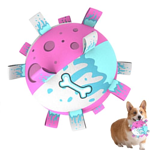 Kixolazr Hundespielzeug-Fußball, Hundespielzeugball mit Laschen - Interaktive Spiel-Hundebälle mit Zuglaschen,Quietschendes Spielzeug für Hunde zum Apportieren, Zerren, Apportieren und Spielen im von Kixolazr