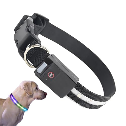 Kixolazr LED-Hundehalsband, beleuchtete Halsbänder für Hunde bei Nacht,Buntes, wiederaufladbares LED-Hundehalsband, leuchtendes Halsband | Leuchtende Hundehalsbänder, Hundehalskette für Damen, Herren, Kixolazr LED-Hundehalsband, beleuchtete Halsbänder für Hunde bei Nacht,Buntes, wiederaufladbares LED-Hundehalsband, leuchtendes Halsband | Leuchtende Hundehalsbänder, Hundehalskette für Damen, Herren, von Kixolazr