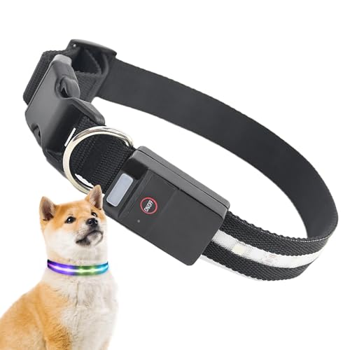 Kixolazr Leuchtende Halsbänder für Hunde bei Nacht,Leuchtende Hundehalsbänder wiederaufladbar | Buntes, wiederaufladbares LED-Hundehalsband, leuchtendes Halsband | Leuchtende Hundehalsbänder, Kixolazr Leuchtende Halsbänder für Hunde bei Nacht,Leuchtende Hundehalsbänder wiederaufladbar | Buntes, wiederaufladbares LED-Hundehalsband, leuchtendes Halsband | Leuchtende Hundehalsbänder, von Kixolazr
