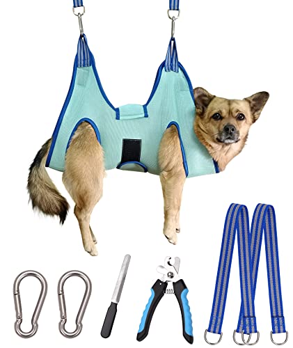 Kkiimatt Haustierpflege-Hängemattengeschirr,Hundepflege-Hängematte kleine Hunde,Hundenageltrimm-Hängematte mit Nagelknipser,Hundehängematte zur Pflege mit breitem Riemen (Small 12 KG Max/Türkis) Kkiimatt Haustierpflege-Hängemattengeschirr,Hundepflege-Hängematte kleine Hunde,Hundenageltrimm-Hängematte mit Nagelknipser,Hundehängematte zur Pflege mit breitem Riemen (Small 12 KG Max/Türkis) von Kkiimatt