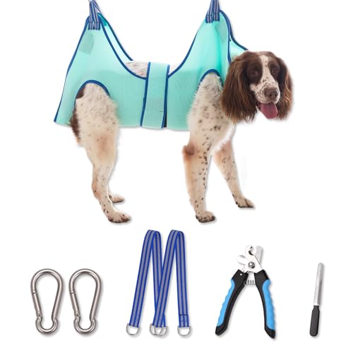 Kkiimatt Haustierpflege-Hängemattengeschirr,Hundepflege-Hängematte kleine Hunde,Hundenageltrimm-Hängematte mit Nagelknipser,Hundehängematte zur Pflege mit breitem Riemen (X-Large 30 KG Max/Türkis) Kkiimatt Haustierpflege-Hängemattengeschirr,Hundepflege-Hängematte kleine Hunde,Hundenageltrimm-Hängematte mit Nagelknipser,Hundehängematte zur Pflege mit breitem Riemen (X-Large 30 KG Max/Türkis) von Kkiimatt