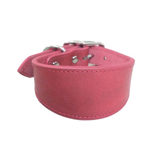 Weit Gepolsterte Hunde Halsband Echte Leder Welpenkragen Für Lurchers Italienische Windhunde Bequeme Haustierhunde Accessoires von Klaisy
