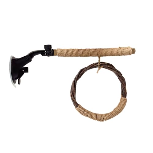 Kleagary Vogelspielzeug Schaukel Set Schaukel Hängende Natur Käfig Zubehör Vogelspielzeug mit Saugnapf Vogel Stehspielzeug Kleagary Vogelspielzeug Schaukel Set Schaukel Hängende Natur Käfig Zubehör Vogelspielzeug mit Saugnapf Vogel Stehspielzeug von Kleagary