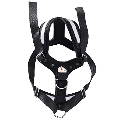 KLEINMETALL Allsafe Gürtel der Sicherheit für Hunde, Schwarz, Größe XL KLEINMETALL Allsafe Gürtel der Sicherheit für Hunde, Schwarz, Größe XL von Kleinmetall