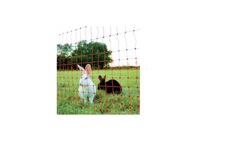 Kleintier- & Wildschutznetz, Kaninchennetz 65 cm x 50 m von Kleintier- & Wildschutznetz