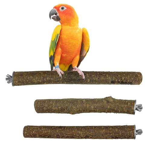 3 Sitzstangen für Papageien, Haselnuss, Befestigung aus Edelstahl, Vogel Zubehör, Durchmesser 2,5-3,5cm von Kleintierbude