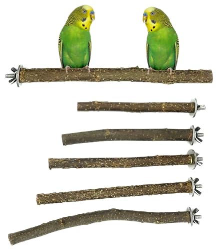 6 Natur Sitzstangen für Vögel - Befestigung aus Edelstahl - Wellensittich Spielzeug - Nymphensittich Spielzeug - Vogel Spielzeug von Kleintierbude