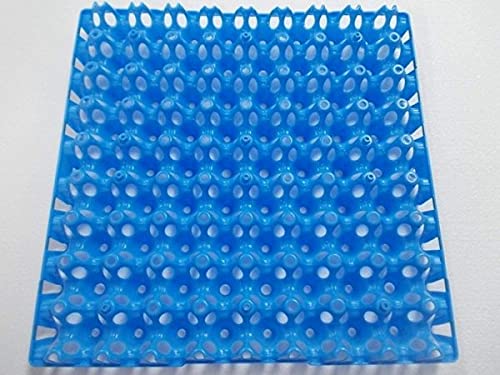 Kleintierzuchtbedarf at Österreich 5 Stück Wachteleier Tray stapelbar für je 72 Wachteleier Kleintierzuchtbedarf at Österreich 5 Stück Wachteleier Tray stapelbar für je 72 Wachteleier von Kleintierzuchtbedarf at Österreich