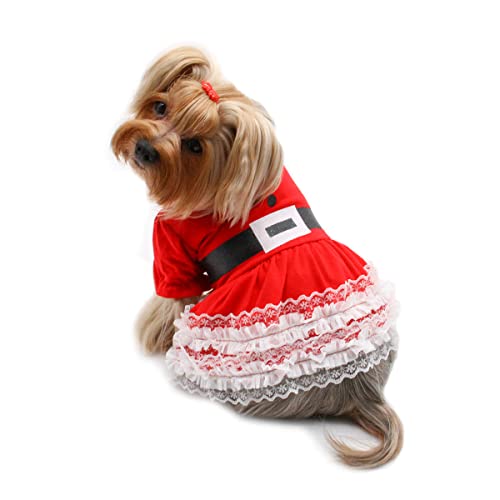 Klippo Weihnachtskleid für kleine Hunde, mit Rüschen, mit Puffärmeln und Spitze, Größe XS von Klippo