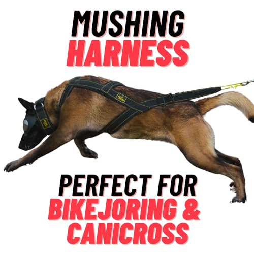 Mushing Geschirr für Hunde, ideal für Hundesporten, wie Hunde, Fahrrad, Urban-Mushing, Canicross-Geschirr, zum Ziehen von Radfahren, Skifahren, großer Widerstand für Sporthunde (gelb, groß) von KnK Dog Supplies