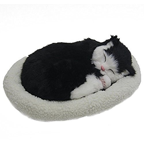Knadgbft Emulation Haustier Katze Schlafen Atmen Mit Schwarzen Wolle Bett (Katze Und Schwarz) von Knadgbft