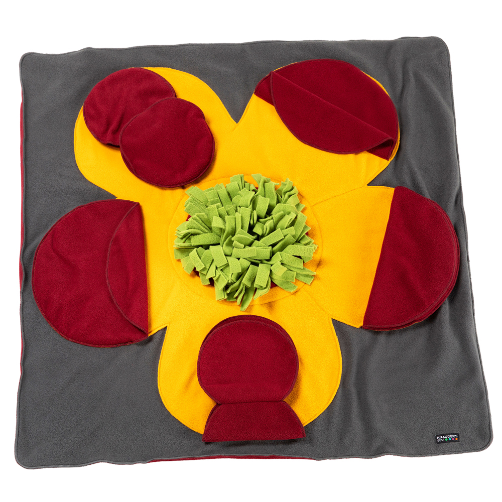 Knauder’s Best Schnüffelrasen Flower Pad bunt, Maße: ca. 90 x 90 cm von Knauder´s Best