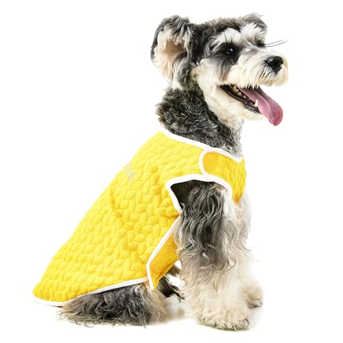 KnewChord Hunde-Shirts, weich, warm, für Hunde und Katzen, mit Klettverschluss, einfach an- und auszuziehen, Gelb, Größe L von KnewChord