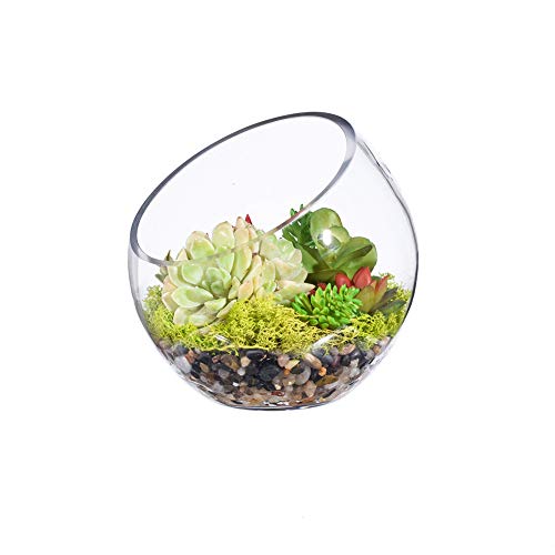 Transparente Glasvase/Glas-Terrarium/Schräg geschnittene Blasenschale, Fischglas- und Pflanzen-Terrarium, schräg geschnittene Kugelvase, Mittelstück, runde Blumenvase(17,8 cm hoch, 17,8 cm breit) von KnikGlass
