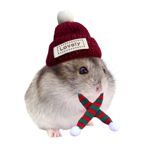 KnocKconK Hamster Kostüm Set mit Hemd, Hut, Schuhen, Kleintier-niedlicher Hai-Hausschuh für echte Haustiere, niedliche Mini-Ratten-Urlaubsparty-Kleidung, für Spaß, Fotos (Größe S, Weihnachten von KnocKconK