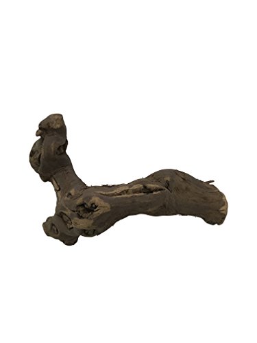 Knorzi® DEKO - Bio Rebknorze/Rebenholz/Kletterholz für Terrarium aus pfälzischen Weinstöcken 100% Natur – nachhaltiges, biologisches Produkt - Größe S - Länge ca. 20 cm - Breite ca. 8 cm - EINWEG von Knorzi