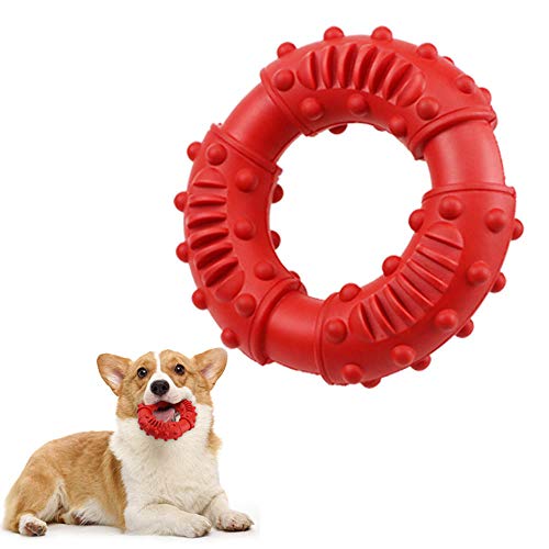 Hundespielzeug Kauen, Naturkautschuk Hündchen Kauspielzeug, Hündchen Quietschendes Kauspielzeug, zur Zahnreinigung und zur Linderung von Langeweile Haustieren Interaktives Trainingsspielzeug (Rot) von Knowing