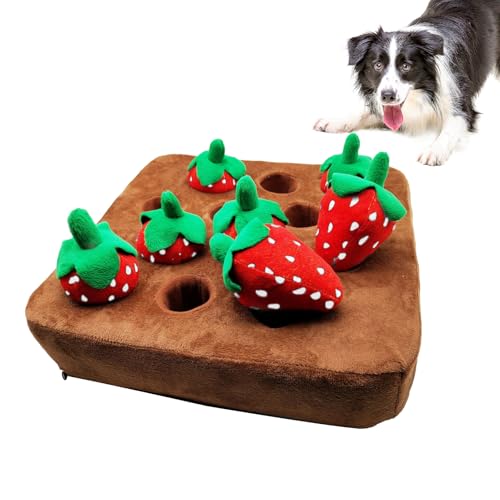 Schnüffelmatte Hund Zieht Erdbeerspielzeug, Intelligenzspielzeug Für Hund Katze Interaktives Spielzeug, Weich Erdbeer Obsts Plüschtiere, Haustierspielzeug Trainings Stressabbau Selbstunterhaltung Schnüffelmatte Hund Zieht Erdbeerspielzeug, Intelligenzspielzeug Für Hund Katze Interaktives Spielzeug, Weich Erdbeer Obsts Plüschtiere, Haustierspielzeug Trainings Stressabbau Selbstunterhaltung von Knowlife
