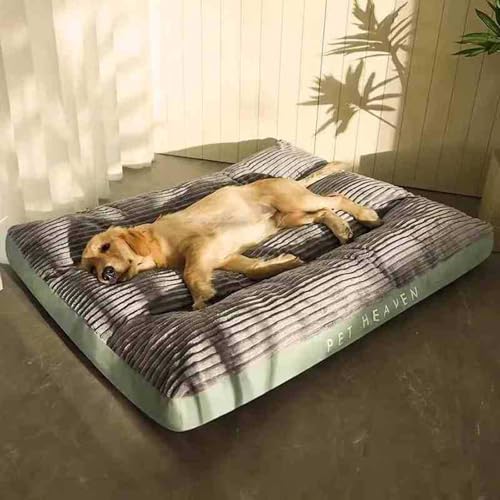 Mondpfote OrthoCloud Pro, Orthopädisches Hundebett, Hundekörbchen Waschbar mit unsichtbarem Reißverschluss, Abnehmbar Hundekorb, Rutschfeste Unterseite, für Kleine/Mittelgroße/Große Hunde (Grau, XL) von Knubbuf