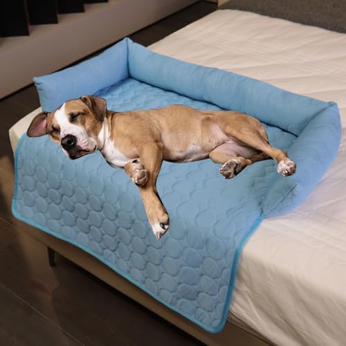 Pelzbarn Kühlendes Sofabett, Kühlbett für Hunde, Kühldecke Hund, Hundekühlmatte Selbstkühlend, Bequemes Wasserdichtes Katzen/Hundebett für den Sommer (Blau,M:70 * 70cm) von Knubbuf