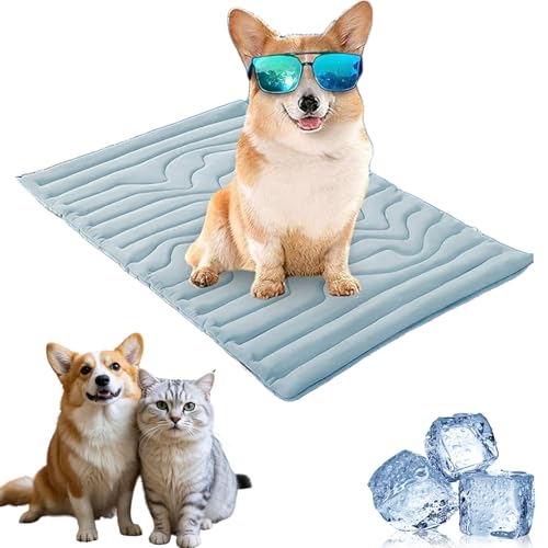 Topbashgo KüHlmatte Hund, KüHlbett Hund, Pfotenchill KüHlmatte Hunde, Abrieb Bissfest NatüRliche KüHlung, KatzenküHlmatten Krallenfest, rutschfest und Maschinenwaschbar (Blau, XL) von Knubbuf