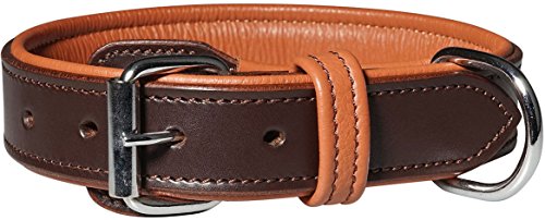 Knuffelwuff 13967-001 Leder Hundehalsband mit Schnallenschutz Detroit, 30-38 cm, braun von Knuffelwuff