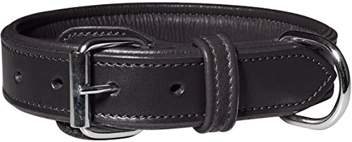 Knuffelwuff 13967-009 Leder Hundehalsband mit Schnallenschutz Detroit, schwarz von Knuffelwuff