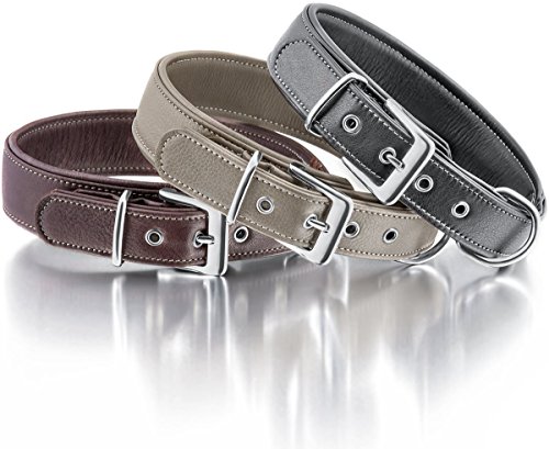 Knuffelwuff 13991-007 Weiches Lederhalsband Hund Hundehalsband Glendale 43-50cm, Natur Knuffelwuff 13991-007 Weiches Lederhalsband Hund Hundehalsband Glendale 43-50cm, Natur von Knuffelwuff
