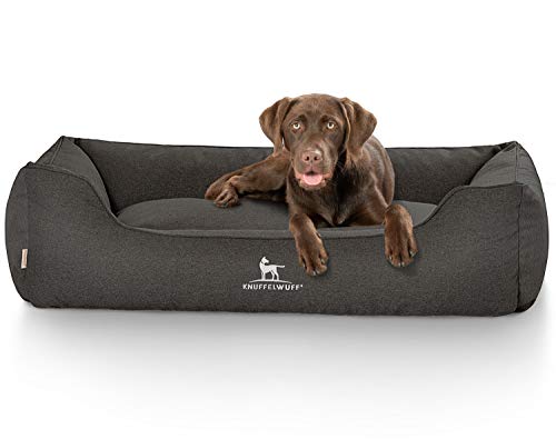 Knuffelwuff Hundebett Crispino aus Velours mit Handwebcharakter XXL 120 x 85cm Schwarz - Abnehmbarer Bezug - leicht zu reinigen - für große, mittelgroße und kleine Hunde Knuffelwuff Hundebett Crispino aus Velours mit Handwebcharakter XXL 120 x 85cm Schwarz - Abnehmbarer Bezug - leicht zu reinigen - für große, mittelgroße und kleine Hunde von Knuffelwuff