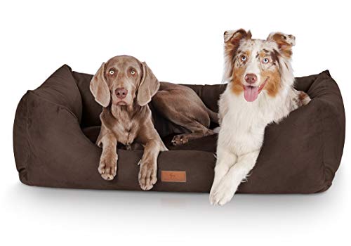 Knuffelwuff Hundebett Dreamline aus Velours XL 105 x 75cm Braun - abnehmbarer Bezug - leicht zu reinigen - für große, mittelgroße und kleine Hunde Knuffelwuff Hundebett Dreamline aus Velours XL 105 x 75cm Braun - abnehmbarer Bezug - leicht zu reinigen - für große, mittelgroße und kleine Hunde von Knuffelwuff
