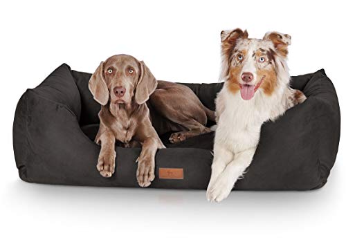 Knuffelwuff Hundebett Dreamline aus Velours XL 105 x 75cm Schwarz - abnehmbarer Bezug - leicht zu reinigen - für große, mittelgroße und kleine Hunde Knuffelwuff Hundebett Dreamline aus Velours XL 105 x 75cm Schwarz - abnehmbarer Bezug - leicht zu reinigen - für große, mittelgroße und kleine Hunde von Knuffelwuff