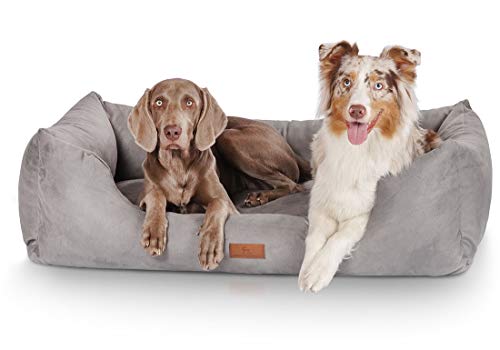 Knuffelwuff Hundebett Dreamline aus Velours XXL 120 x 85cm Grau - abnehmbarer Bezug - leicht zu reinigen - für große, mittelgroße und kleine Hunde Knuffelwuff Hundebett Dreamline aus Velours XXL 120 x 85cm Grau - abnehmbarer Bezug - leicht zu reinigen - für große, mittelgroße und kleine Hunde von Knuffelwuff