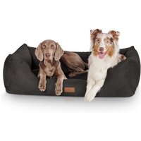 Knuffelwuff Hundebett Dreamline aus Velours schwarz XL Knuffelwuff Hundebett Dreamline aus Velours schwarz XL von Knuffelwuff