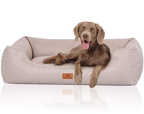 Knuffelwuff Hundebett Emma aus Velours mit feinem Handwebcharakter in Pastellfarben XXL 120 x 85cm Beige - Abnehmbarer Bezug - leicht zu reinigen - für große, mittelgroße und kleine Hunde Knuffelwuff Hundebett Emma aus Velours mit feinem Handwebcharakter in Pastellfarben XXL 120 x 85cm Beige - Abnehmbarer Bezug - leicht zu reinigen - für große, mittelgroße und kleine Hunde von Knuffelwuff