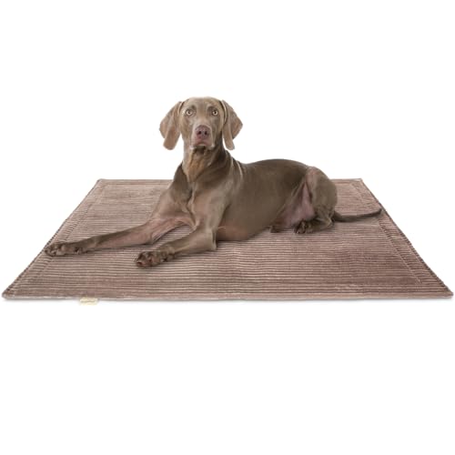 Knuffelwuff Hundedecke Timor 100x70cm Braun - Bequeme und Pflegeleichte Liegedecke aus weichem Cord - waschbar - für große, mittelgroße und kleine Hunde Knuffelwuff Hundedecke Timor 100x70cm Braun - Bequeme und Pflegeleichte Liegedecke aus weichem Cord - waschbar - für große, mittelgroße und kleine Hunde von Knuffelwuff