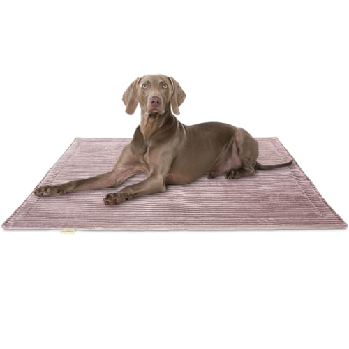 Knuffelwuff Hundedecke Timor 100x70cm Rosa - Bequeme und Pflegeleichte Liegedecke aus weichem Cord - waschbar - für große, mittelgroße und kleine Hunde Knuffelwuff Hundedecke Timor 100x70cm Rosa - Bequeme und Pflegeleichte Liegedecke aus weichem Cord - waschbar - für große, mittelgroße und kleine Hunde von Knuffelwuff
