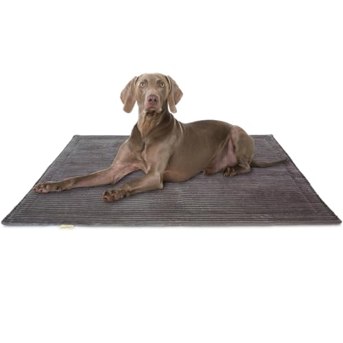 Knuffelwuff Hundedecke Timor 120x80cm Anthrazit - Bequeme und Pflegeleichte Liegedecke aus weichem Cord - waschbar - für große, mittelgroße und kleine Hunde Knuffelwuff Hundedecke Timor 120x80cm Anthrazit - Bequeme und Pflegeleichte Liegedecke aus weichem Cord - waschbar - für große, mittelgroße und kleine Hunde von Knuffelwuff