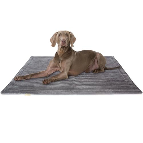 Knuffelwuff Hundedecke Timor 120x80cm Grau - Bequeme und Pflegeleichte Liegedecke aus weichem Cord - waschbar - für große, mittelgroße und kleine Hunde Knuffelwuff Hundedecke Timor 120x80cm Grau - Bequeme und Pflegeleichte Liegedecke aus weichem Cord - waschbar - für große, mittelgroße und kleine Hunde von Knuffelwuff