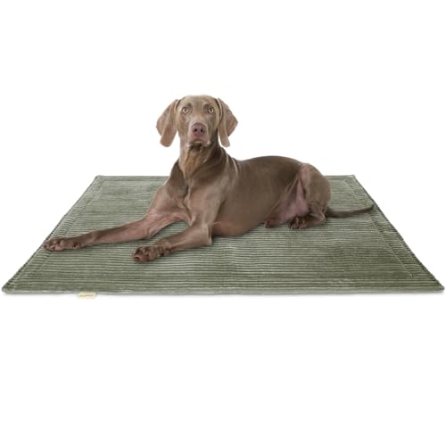 Knuffelwuff Hundedecke Timor 120x80cm Khaki - Bequeme und Pflegeleichte Liegedecke aus weichem Cord - waschbar - für große, mittelgroße und kleine Hunde Knuffelwuff Hundedecke Timor 120x80cm Khaki - Bequeme und Pflegeleichte Liegedecke aus weichem Cord - waschbar - für große, mittelgroße und kleine Hunde von Knuffelwuff