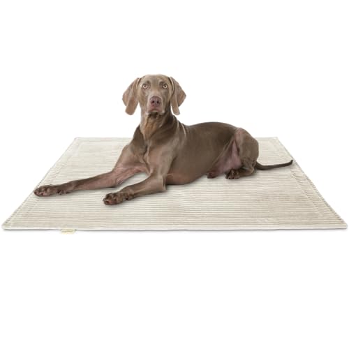 Knuffelwuff Hundedecke Timor 80x60cm Beige - Bequeme und Pflegeleichte Liegedecke aus weichem Cord - waschbar - für große, mittelgroße und kleine Hunde Knuffelwuff Hundedecke Timor 80x60cm Beige - Bequeme und Pflegeleichte Liegedecke aus weichem Cord - waschbar - für große, mittelgroße und kleine Hunde von Knuffelwuff