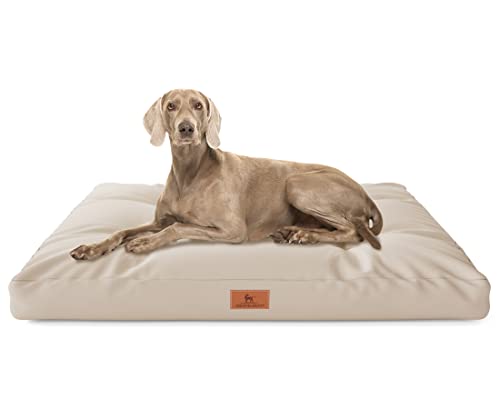 Knuffelwuff Hundekissen Gatsby aus Oxford-Gewebe 65 x 90cm Beige - rutschfeste Unterboden - leicht zu reinigen - für große, mittelgroße und kleine Hunde Knuffelwuff Hundekissen Gatsby aus Oxford-Gewebe 65 x 90cm Beige - rutschfeste Unterboden - leicht zu reinigen - für große, mittelgroße und kleine Hunde von Knuffelwuff