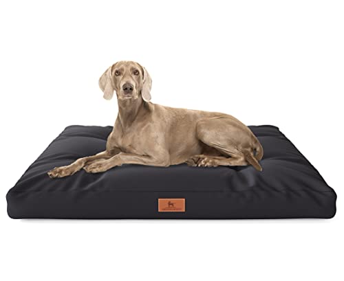 Knuffelwuff Hundekissen Gatsby aus Oxford-Gewebe 75 x 50cm Schwarz - rutschfeste Unterboden - leicht zu reinigen - für große, mittelgroße und kleine Hunde Knuffelwuff Hundekissen Gatsby aus Oxford-Gewebe 75 x 50cm Schwarz - rutschfeste Unterboden - leicht zu reinigen - für große, mittelgroße und kleine Hunde von Knuffelwuff